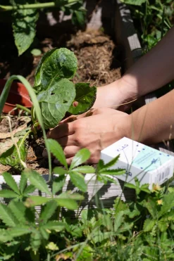 Saponetta Post Giardinaggio e Lavori di Casa, 100 g