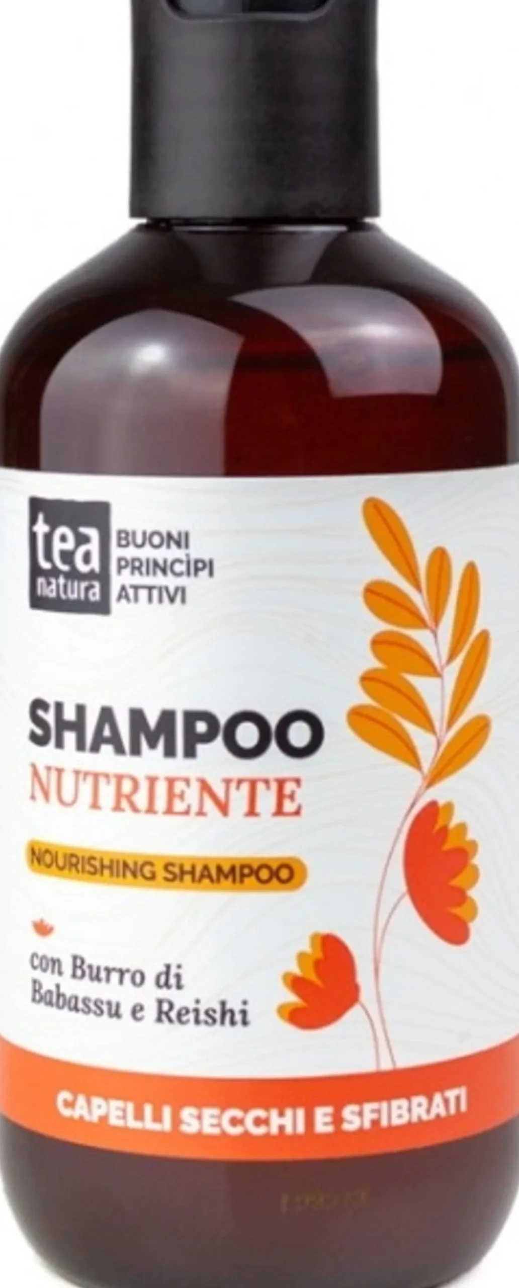 Shampoo Nutriente, 250 ml
