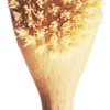 Spazzola per Capelli, 1 Pz.