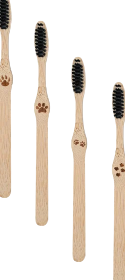 Spazzolino da Denti in Bambù - Duro, 4 pezzi