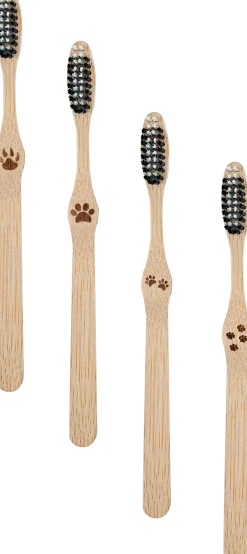 Spazzolino da Denti in Bambù - Medio, 4 pezzi