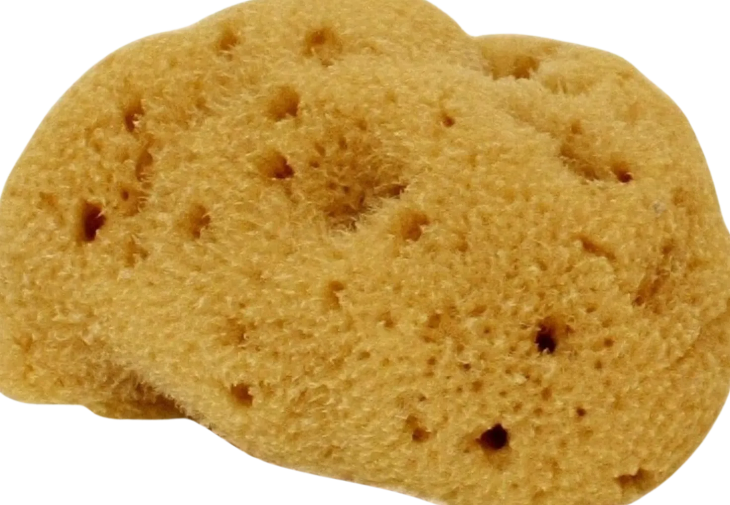 Spugna Fine Dama Lavata, Piccola, 5-6 g