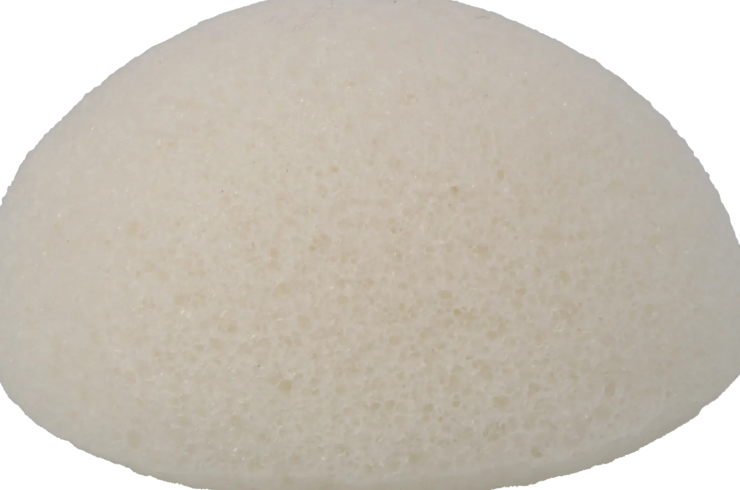 Spugna Konjac
