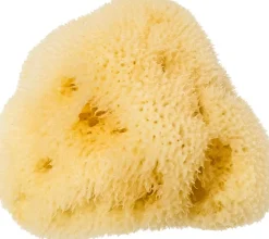 Spugna Levantiner