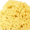 Spugna Naturale Arcipelago Sbiancata, 12-14 gr (12 g)