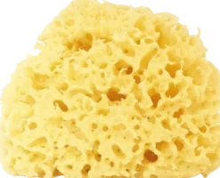 Spugna Naturale Arcipelago Sbiancata, 12-14 gr (12 g)