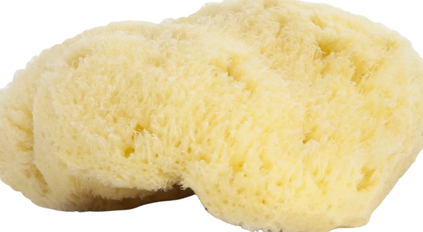Spugna Naturale di Mare, 9-10 cm