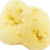 Spugna Naturale Fine Dama Sbiancata, 4-5 g (4 g)