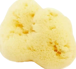 Spugna Naturale Fine Dama Sbiancata, 4-5 g (4 g)