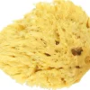Spugna Naturale Honeycomb, S