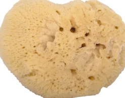 Spugna per Neonati e Bambini