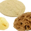 Starter Kit Viso