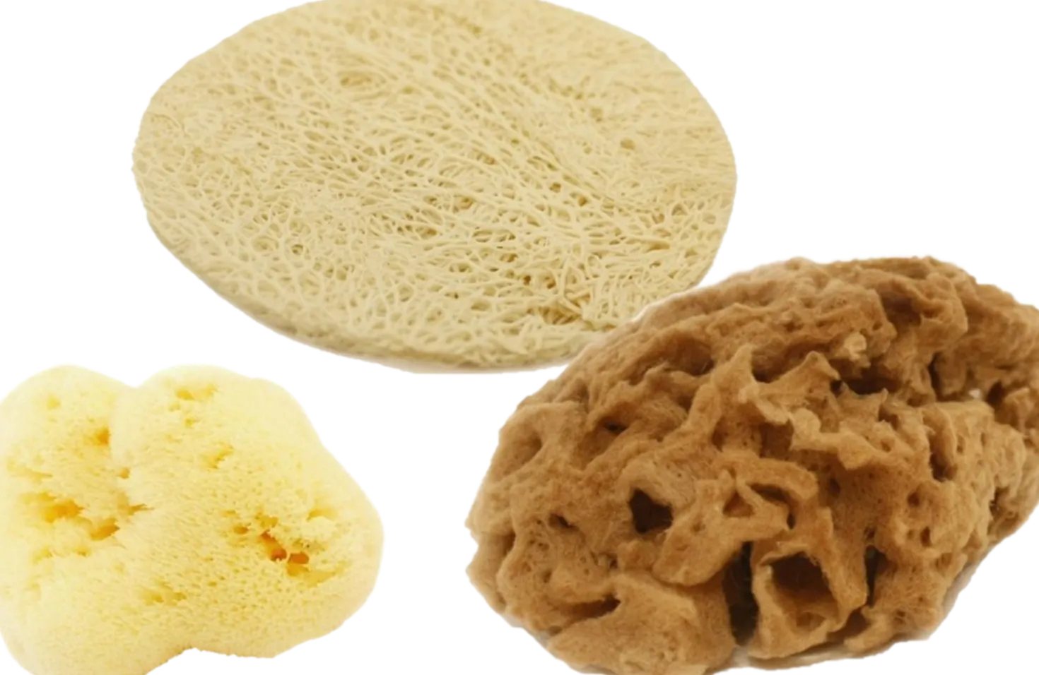 Starter Kit Viso