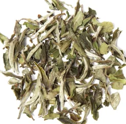 Tè Bianco Bio - Pai Mu Tan, 100 g
