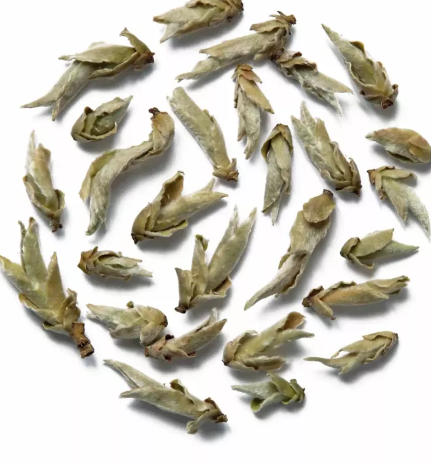 Tè Bianco Ya Bao Buds, 50 g