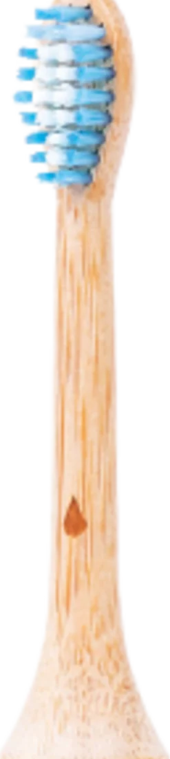 Testine Bamboo Sonic Professional