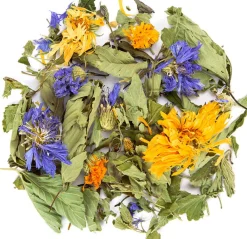 Tisana alle Erbe Alpine Bio - In Famiglia, 40 g