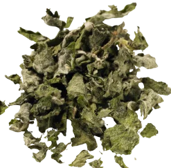 Tisana Bio - Menta di Mela, 50 g