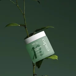 Toothpaste Mint, 185 g