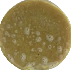 TRIBE SJAMPOE ARIA Detergente Solido per Capelli, 55 g