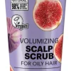 Volumizing Scalp Scrub Fig & Rosehip, 75 ml