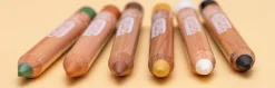 Wild Life Face Paint Pencils Set
